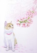 画像: 桜の季節に