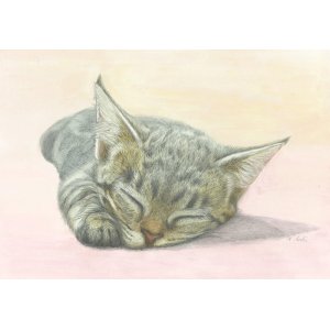 画像: デザインアートシート　春眠ねこ